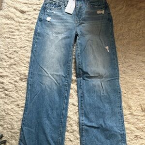 Vervet Distressed Blue Jeans
